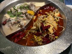 -麻田会 ·鲜活现烹·牛蛙火锅(珠江新城维家思广场店)