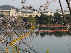 -羊山湖公园