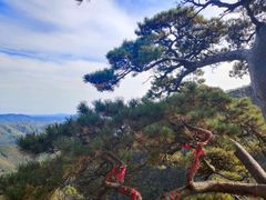 -大连天门山国家森林公园