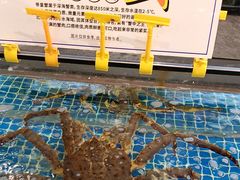 -天鲜阁·海鲜粤菜·33年老字号(石槎白云站店)