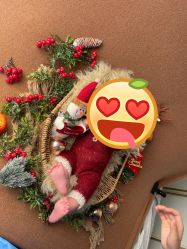 -西瓜庄园儿童摄影