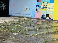 -证大喜玛拉雅中心