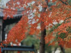 -虞山城墙