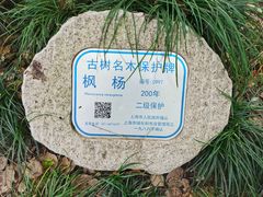 -汇龙潭