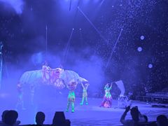 -珠海横琴长隆《卡卡虎奇遇记》