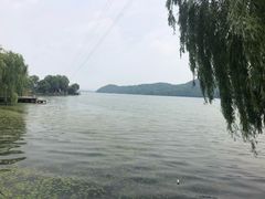 -东湖落雁景区