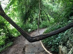 -普者黑风景区-青龙山