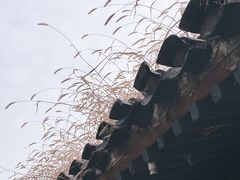 -三里河公园