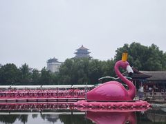 -莲花池公园
