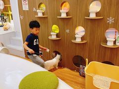 -COLOR PETS 撸猫馆·购猫·猫咖(长风大悦城店)
