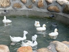 -常州淹城野生动物世界
