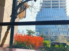 景观位-开海·红岛海鲜虾水饺(石老人店)