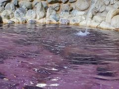 -湖泉半山温泉(湖泉生态园)