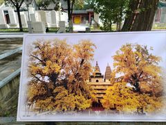 -北京石刻艺术博物馆(五塔寺)