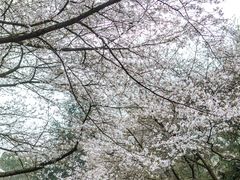 -杭州少年儿童公园