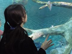 -小杨生煎(湟普汇店)