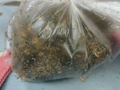 -叶氏麻糍(鼓浪屿店)