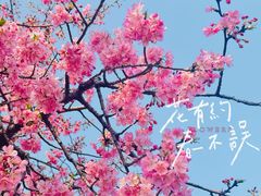 -上海辰山植物园