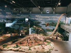 -自贡恐龙博物馆