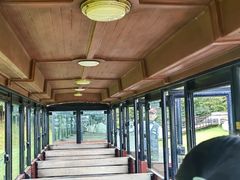 -济州森林小火车生态公园
