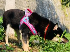 -南京市民俗博物馆(甘熙故居)