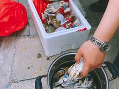 -韩家墅海吉星农产品批发市场
