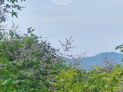 -青龙山国家森林公园