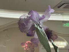 -万达广场(龙湖店)