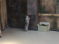 -天堂疯人院·沉浸式实景演绎密室