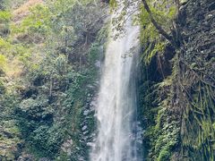 -莫里热带雨林景区