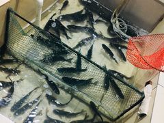 -铁锅炖灶台鱼老三炖鱼馆