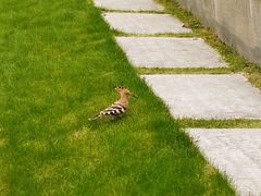 -重庆中央公园(渝北区)