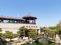 -中国唐苑