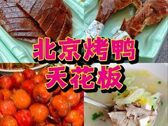 -羲和雅苑•北京烤鸭(瑞吉店)