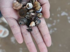 -巧克力渔家.小船海鲜家常菜(万平口店)