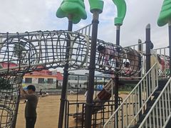 -碧海金沙