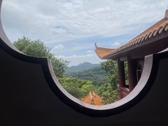 -深圳仙湖植物园