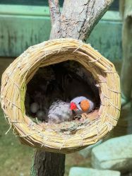 -Zoolung Zoolung动物主题公园(海信广场店)