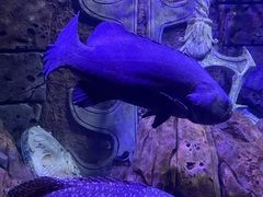 -波塞冬旅游度假区