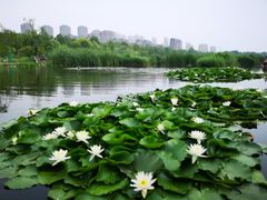 -前关湿地公园