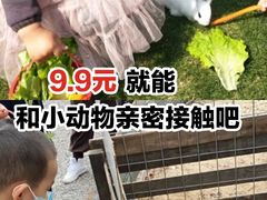 -前小桔亲子创意农场·草莓采摘·露营烧烤