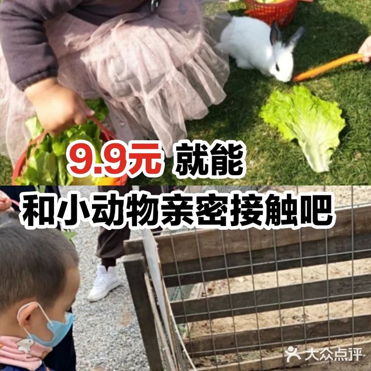 9.9元就能和小动物亲密接触