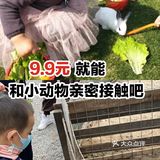 9.9元就能和小动物亲密接触