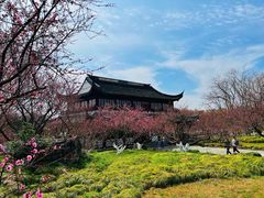 -上海海湾国家森林公园