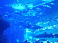 -成都浩海立方海洋公园