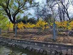 -廊坊市自然公园