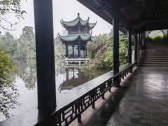 -桂湖森林公园