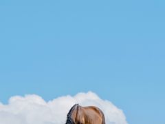 -灵山