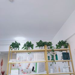 -凡碧诗毛孔收细