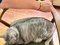 -H立方实景剧情密室(天河旗舰店)